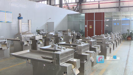 科技賦能，智造未來 機械設備領域的“專精特新”企業崛起之路